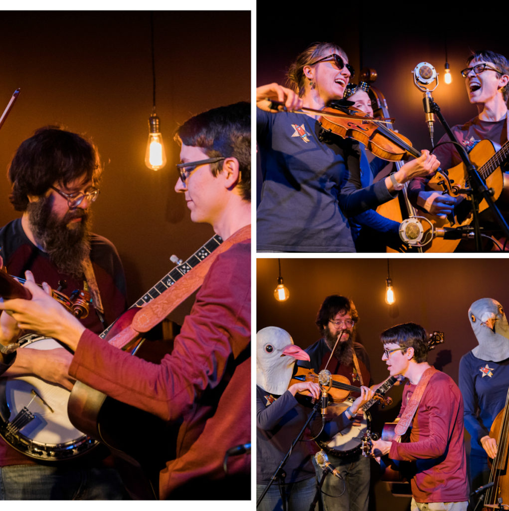 Left: A close up of the banjo (man with a beard and glasses) and guitar (woman with glasses in a red top) players of The Matchsellers. Top right: A close up of the fiddler (woman in a grey top and sunglasses) and the guitar player at the mic. Bottom right: Full band, with the fiddler and the bass (woman in a grey top) players wearing pigeon/dove masks.